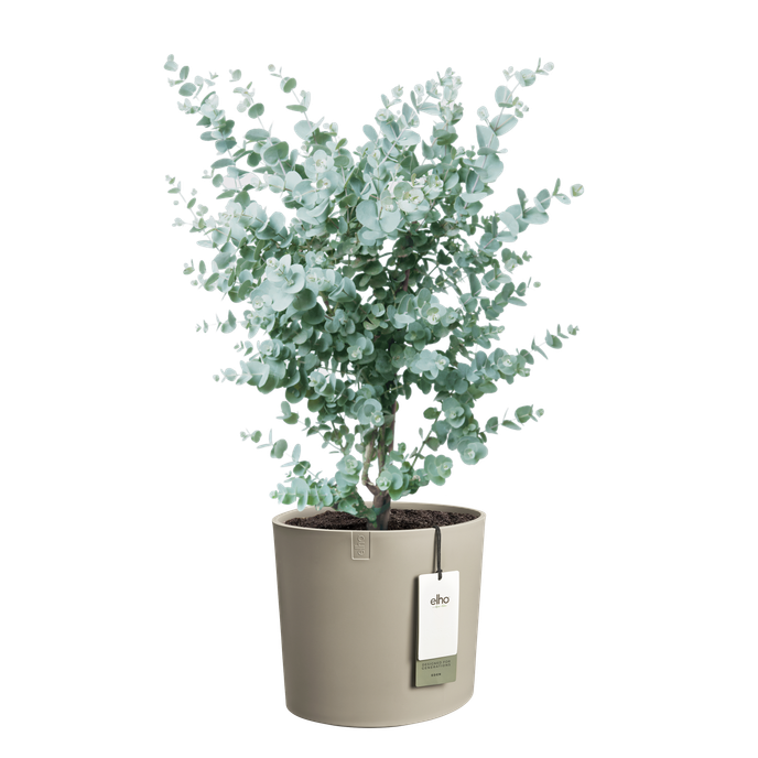 eden 30cm zacht taupe